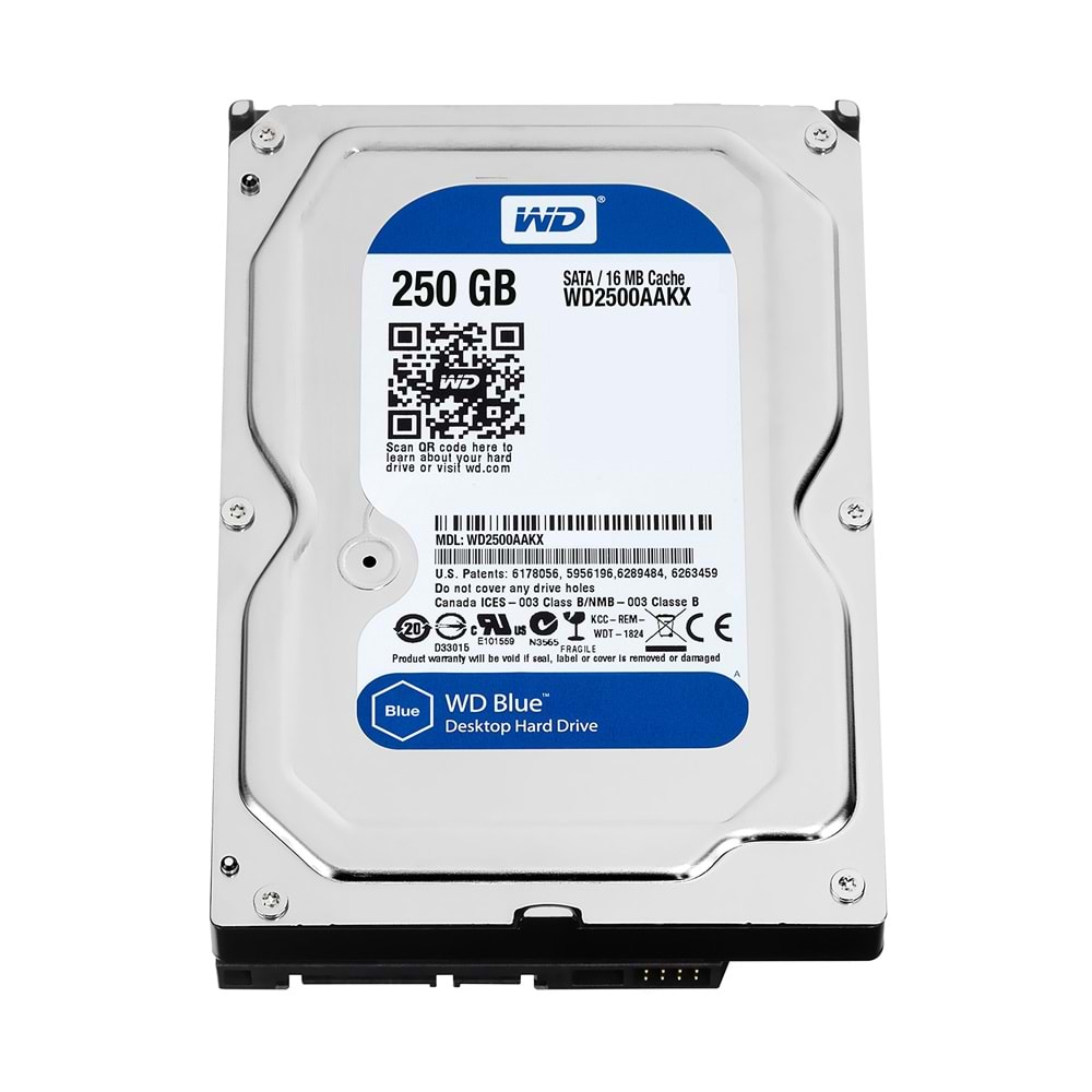 WESTERN DIGITAL WD2500AVVS 3.5